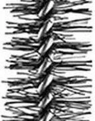 Lanc?me Lanc Me Monsieur Big Mascara - 001 Big Is The New Black - Mascara - 6,5 Gr 8 Lanc?me Lanc Me Monsieur Big Mascara - 001 Big Is The New Black - Mascara - 6,5 Gr -Maybelline-winkel 194x840 2