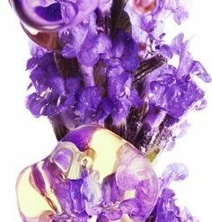 Garnier Bio Anti-Age Dagcrème - 50 Ml - Verstevigende Lavendel -Maybelline-winkel 236x840