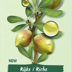 Garnier Bio Dagcr Me -50 Ml - Droge En Gevoelige Huid - Rijke Argan -Maybelline-winkel 298x840 1