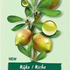 Garnier Bio Dagcr Me -50 Ml - Droge En Gevoelige Huid - Rijke Argan -Maybelline-winkel 300x840 1