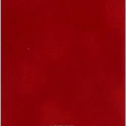 Dolce & Gabbana Dolce & Gabanna Pour Femme 100 Ml - Eau De Toilette - Damesparfum -Maybelline-winkel 369x840 4