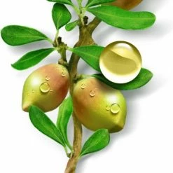 Garnier Bio Dagcr Me -50 Ml - Droge En Gevoelige Huid - Rijke Argan -Maybelline-winkel 439x840 6