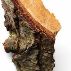 Giorgio Armani Acqua Di Gio 100 Ml - Eau De Toilette - Herenparfum 15 Giorgio Armani Acqua Di Gio 100 Ml - Eau De Toilette - Herenparfum -Maybelline-winkel 499x840 1