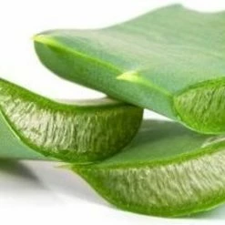 Garnier Skinactive Face SkinActive - Botanische Dagcr Me Met Alo Vera Extract - 50 Ml - Dagcr Me 28 Garnier Skinactive Face SkinActive - Botanische Dagcr Me Met Alo Vera Extract - 50 Ml - Dagcr Me -Maybelline-winkel 550x280