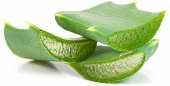 Garnier Skinactive Face SkinActive - Botanische Dagcr Me Met Alo Vera Extract - 50 Ml - Dagcr Me 14 Garnier Skinactive Face SkinActive - Botanische Dagcr Me Met Alo Vera Extract - 50 Ml - Dagcr Me - Afbeelding 14