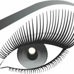 L?Or?al Paris L Or Al Paris False Lash Telescopic Mascara - Zwart -Maybelline-winkel 550x340 2