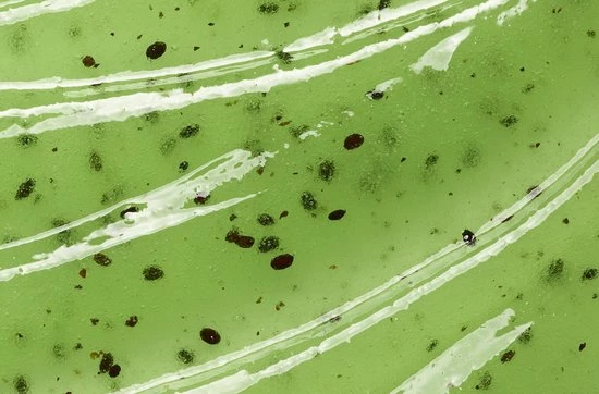 L?Or?al Paris L'Or Al Paris Skin Expert Sugar Scrub Zuiverend Met Kiwi - 2 X 50ml - Multiverpakking 9 L?Or?al Paris L'Or Al Paris Skin Expert Sugar Scrub Zuiverend Met Kiwi - 2 X 50ml - Multiverpakking - Afbeelding 9