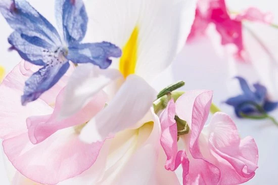 Dior Miss Vrouwen 100 Ml - Eau De Parfum - Damesparfum 4 Dior Miss Vrouwen 100 Ml - Eau De Parfum - Damesparfum - Afbeelding 4