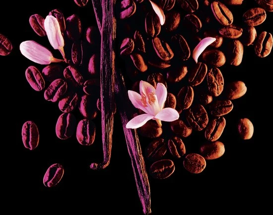 Yves Saint Laurent Black Opium 50 Ml - Eau De Parfum - Damesparfum 5 Yves Saint Laurent Black Opium 50 Ml - Eau De Parfum - Damesparfum - Afbeelding 5