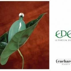 Cacharel Eden 50 Ml - Eau De Parfum - Damesparfum 6 Cacharel Eden 50 Ml - Eau De Parfum - Damesparfum -Maybelline-winkel 550x452