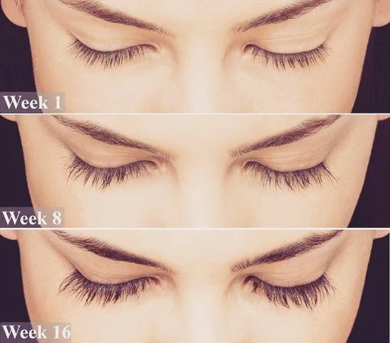 Lanthome Wimperserum - Met Castor Olie 3 Lanthome Wimperserum - Met Castor Olie - Afbeelding 3