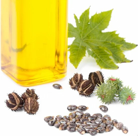 Lanthome Wimperserum - Met Castor Olie 2 Lanthome Wimperserum - Met Castor Olie - Afbeelding 2