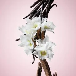 Viktor En Rolf Viktor & Rolf Flowerbomb 100 Ml - Eau De Parfum - Damesparfum -Maybelline-winkel 550x550 1144