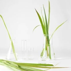 Garnier Bio Detox Reinigingsgel Verfrissende Citroengras - 3 X 150 Ml -Maybelline-winkel 550x550 1246