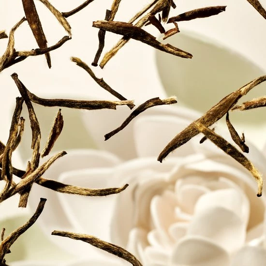 RITUALS Life Is A Journey - Karma Car Perfume - 6 G 3 RITUALS Life Is A Journey - Karma Car Perfume - 6 G - Afbeelding 3