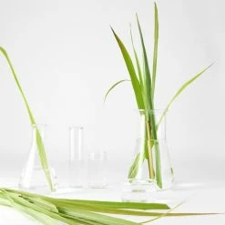 Garnier Bio Detox Reinigingsgel - Normale Tot Gemengde Huid - 150 Ml -Maybelline-winkel 550x550 196