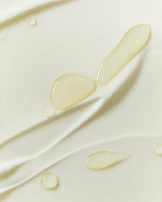 NIVEA Q10 Power +Extra Voedend Anti-Rimpel Dagcrème - Droge Huid - 50 Ml 5 NIVEA Q10 Power +Extra Voedend Anti-Rimpel Dagcrème - Droge Huid - 50 Ml - Afbeelding 5