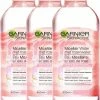 Garnier Skinactive Micellair Reinigingswater Met Rozenwater - 3 X 400 Ml - Micellair Water Voor Een Stralende Huid - Voordeelverpakking 6 Garnier Skinactive Micellair Reinigingswater Met Rozenwater - 3 X 400 Ml - Micellair Water Voor Een Stralende Huid - Voordeelverpakking -Maybelline-winkel 550x702